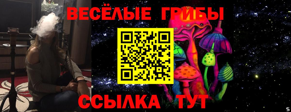 наркота  Псилоцибиновые грибы мицелий  Вход с VPN  Усть-Илимск 